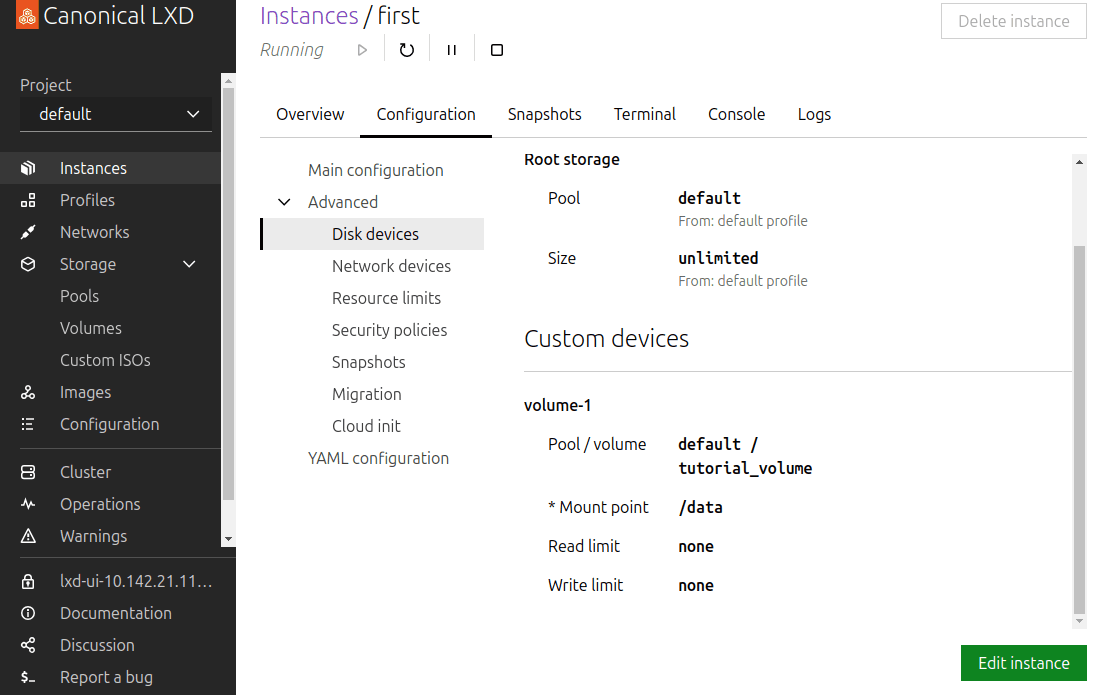 Add the custom volume to your instance