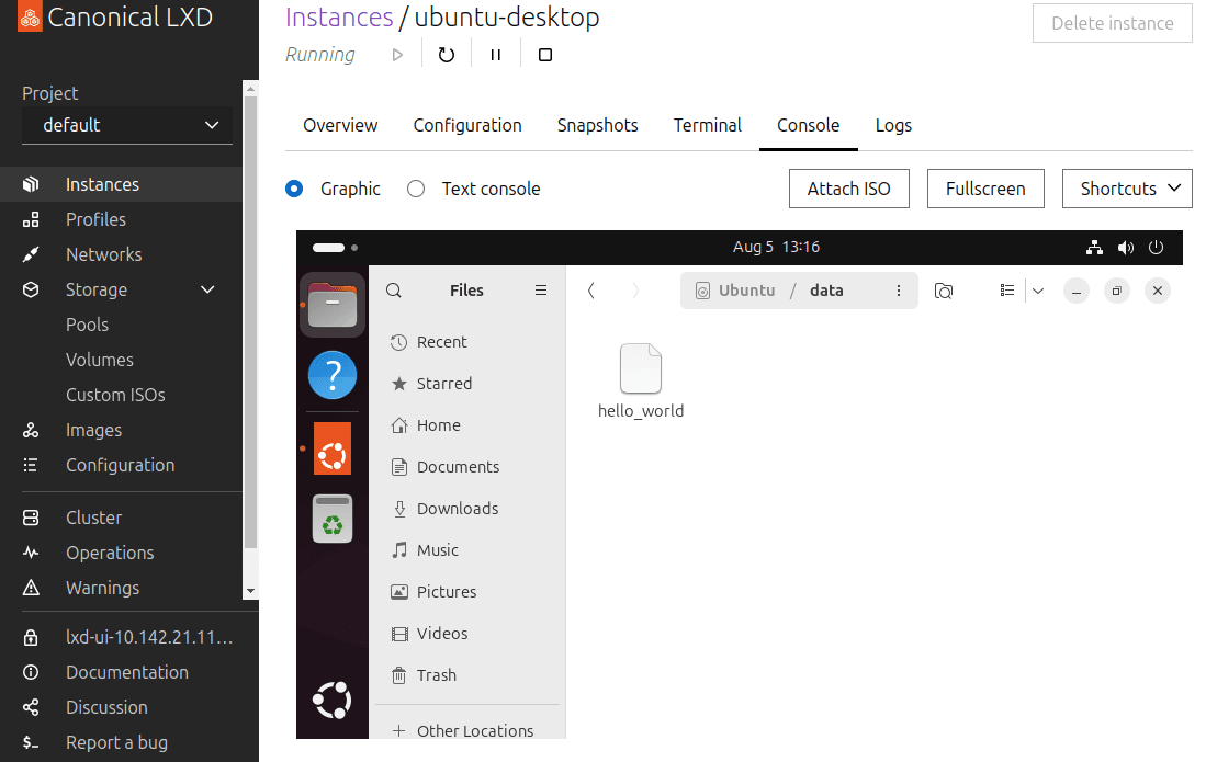 View the file on the shared volume in the file browser