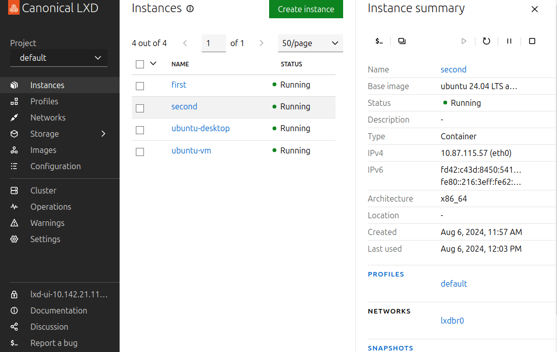 Information about an instance in the instance summary